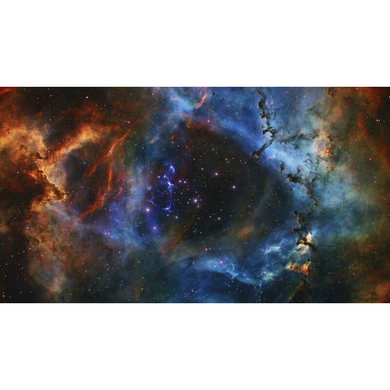 Caméra miniCam8 Mono Combo pour l'astronomie - QHY