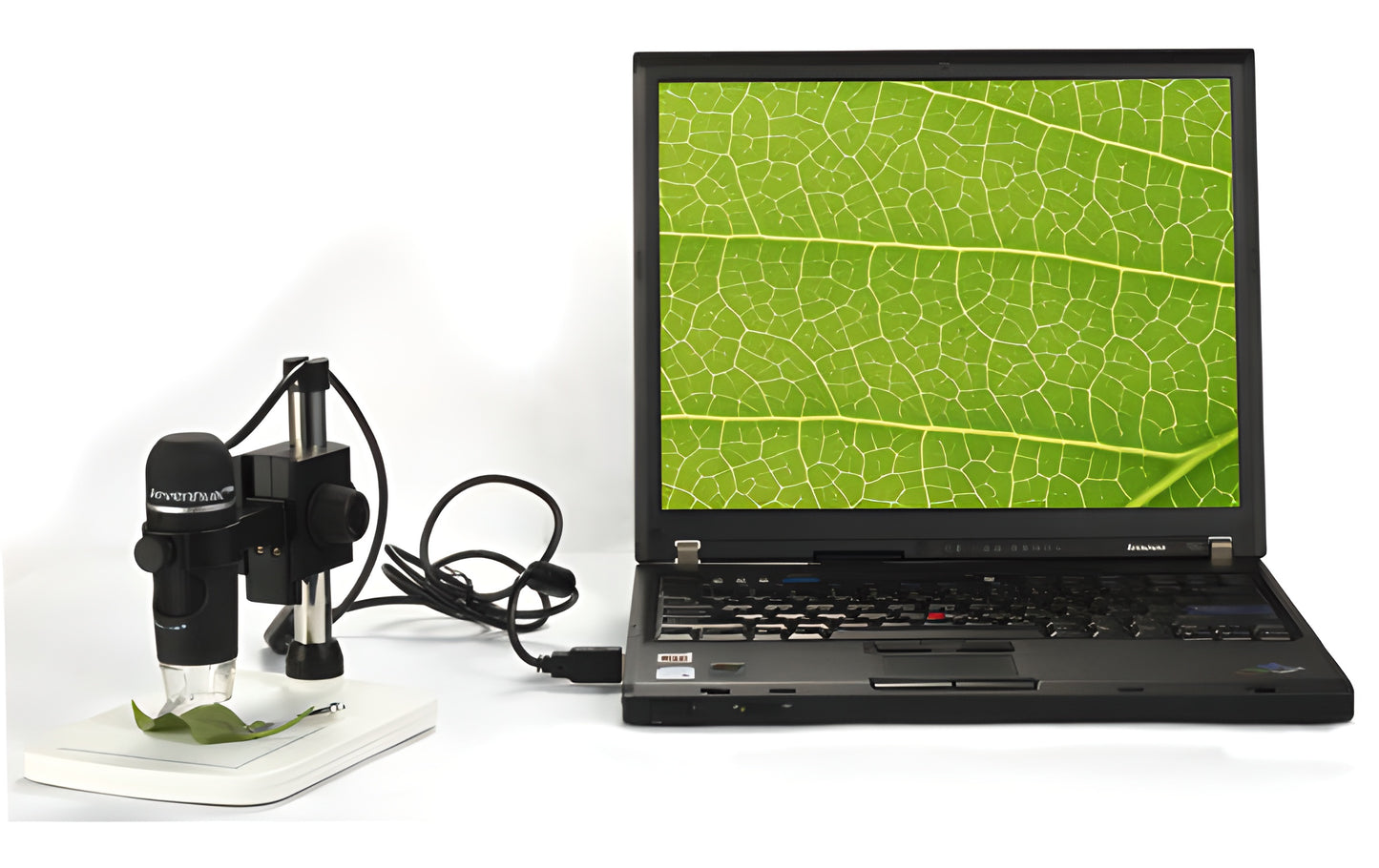 Microscope Numérique USB 5 Mpx 10–300x avec Trépied et Logiciel de Mesure - Levenhuk
