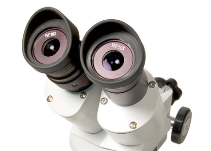 Microscope stéréo binoculaire à objectifs 2x/4x Levenhuk 3ST