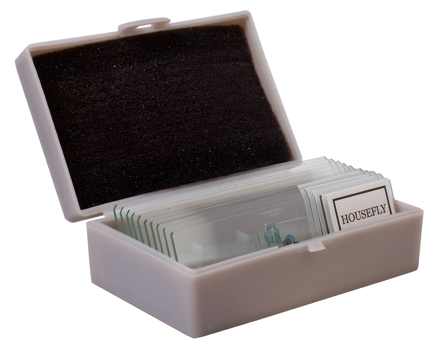 Kit d'expériences pour microscope avec lames et guide - Levenhuk