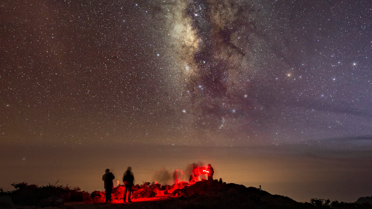 BRESSER StarTracker Kit de montaje fotográfico astronómico