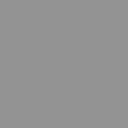 Fond de studio papier gris SBP17 2,00 x 11 m BRESSER