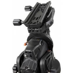Télescope CGX-L RASA 11'' pour l'astronomie - Celestron